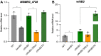 Figure 7