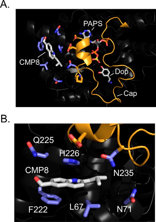 Figure 3.