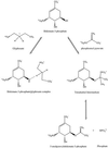 Scheme 1