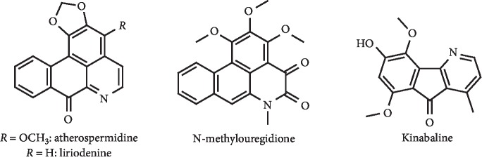 Figure 25