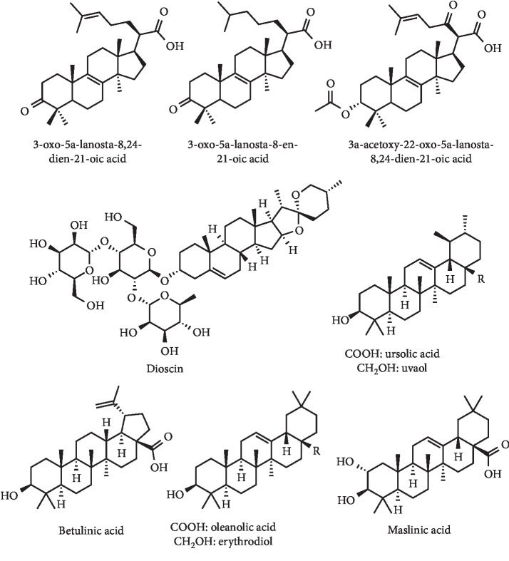 Figure 23