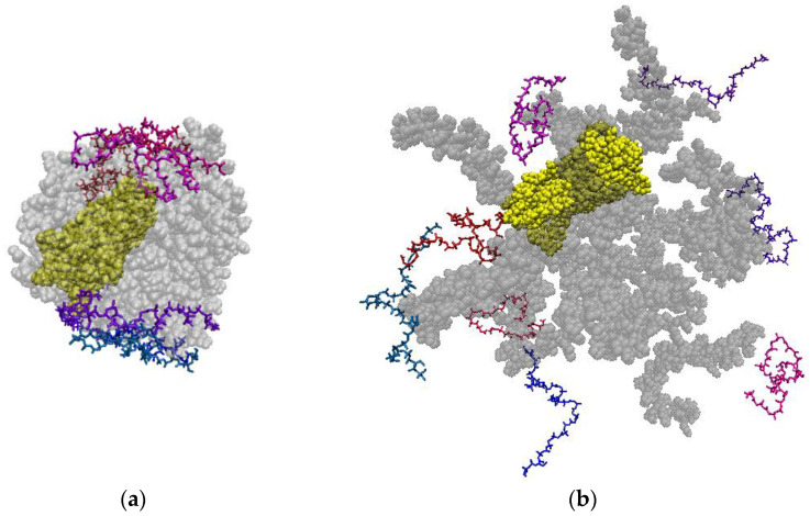 Figure 20