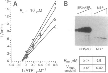 graphic file with name pnas01145-0077-c.jpg