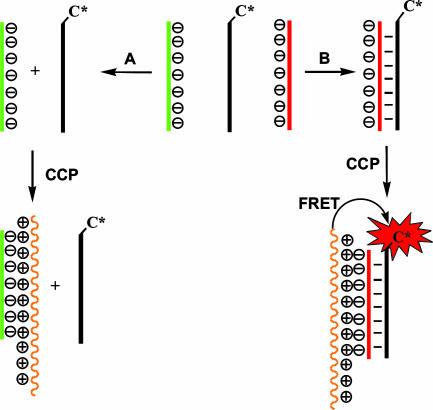 Scheme 1.