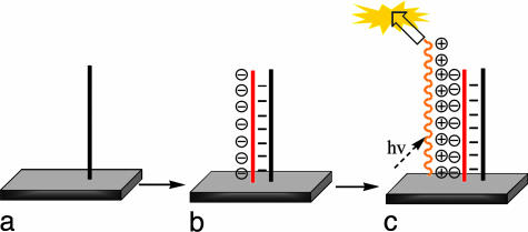 Scheme 4.