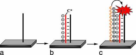 Scheme 3.