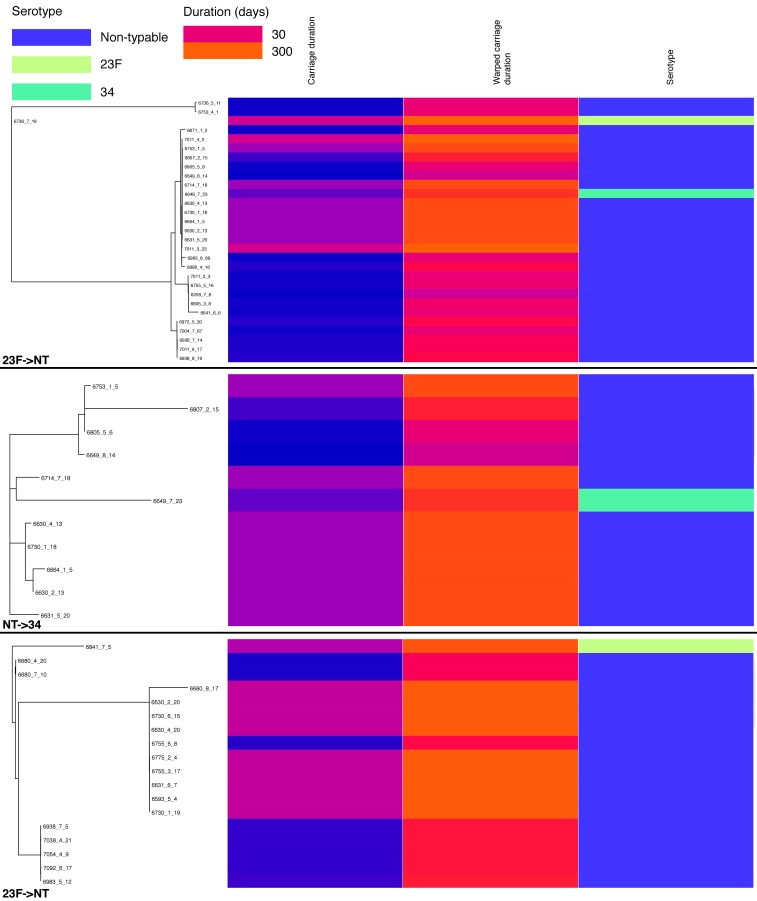 Figure 4—figure supplement 3.