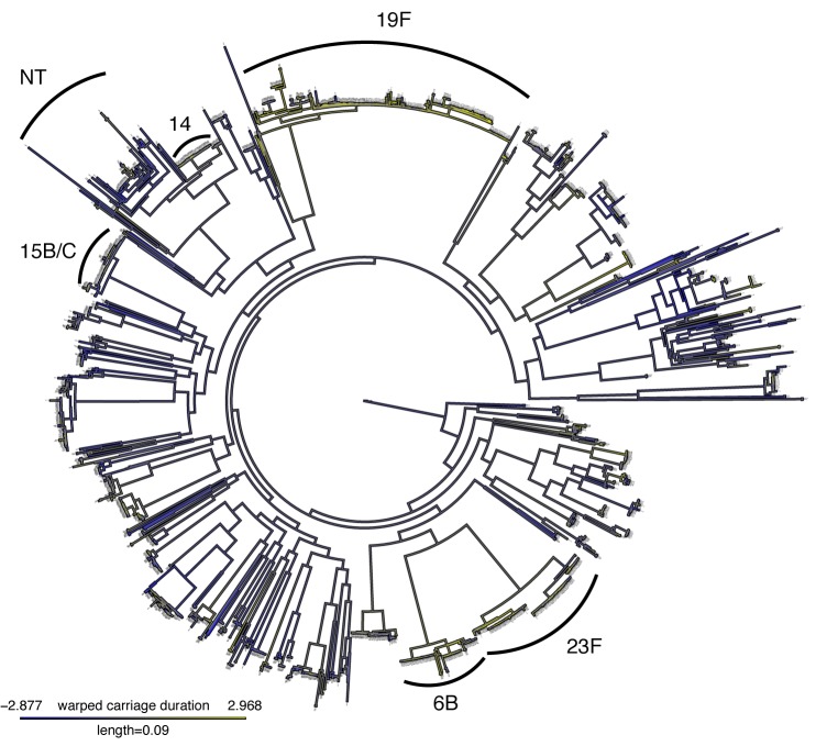 Figure 4—figure supplement 1.