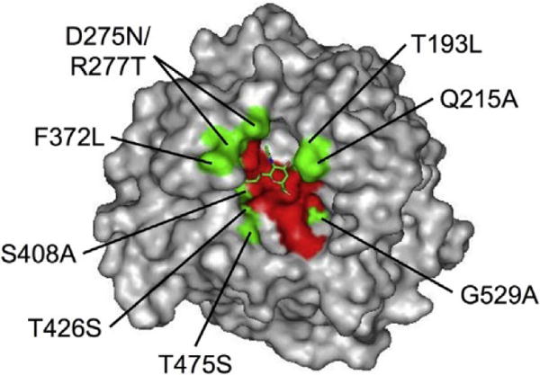 Fig. 1