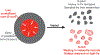 Figure 4 |