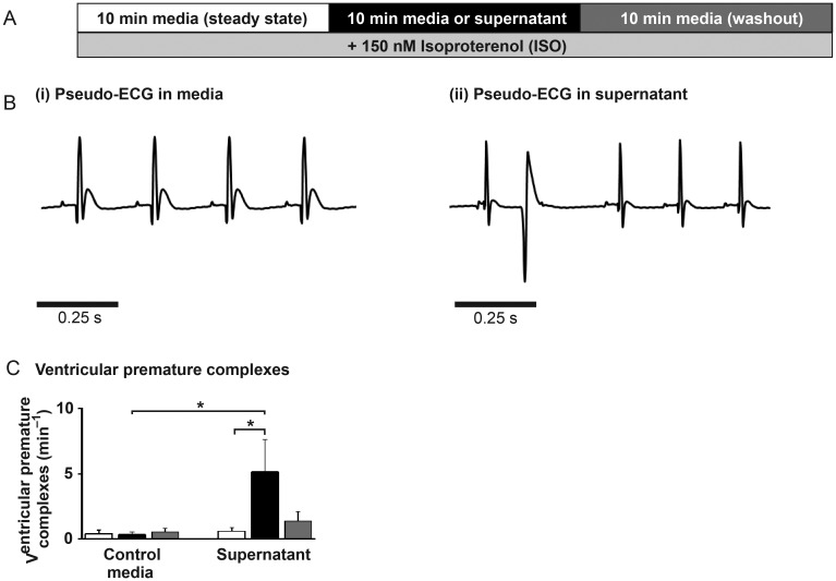 Figure 6