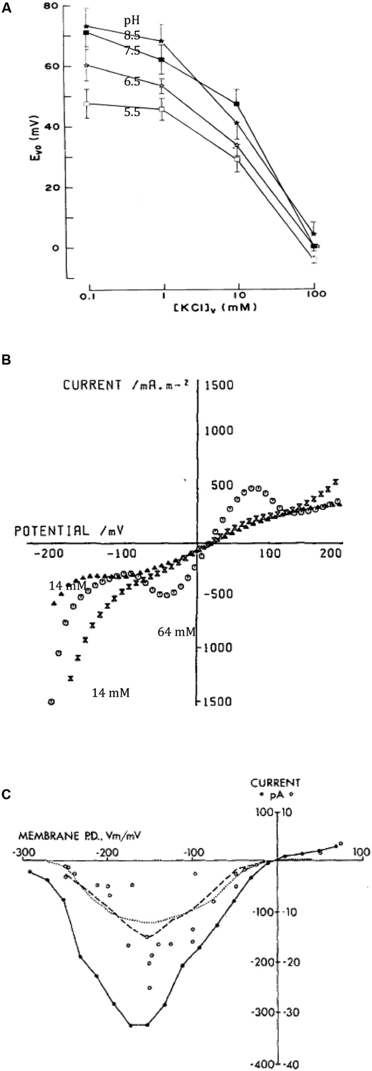 FIGURE 3