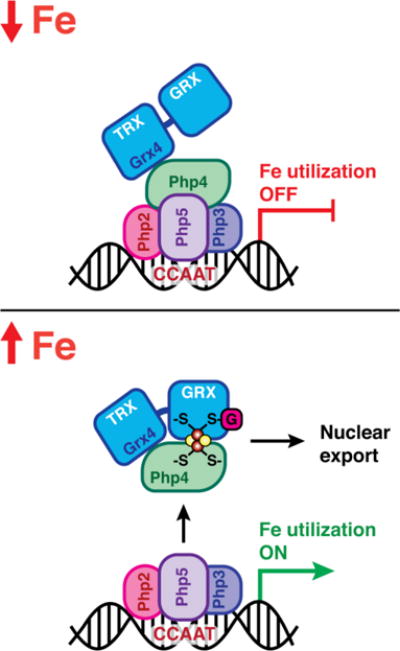 Fig. 7