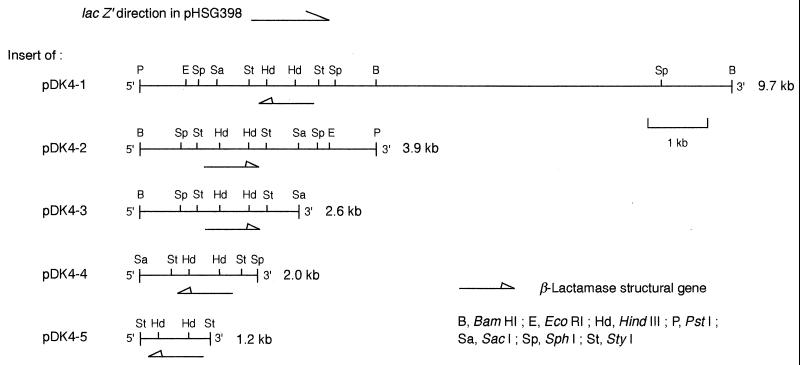 FIG. 1