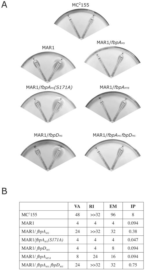 FIG. 1.