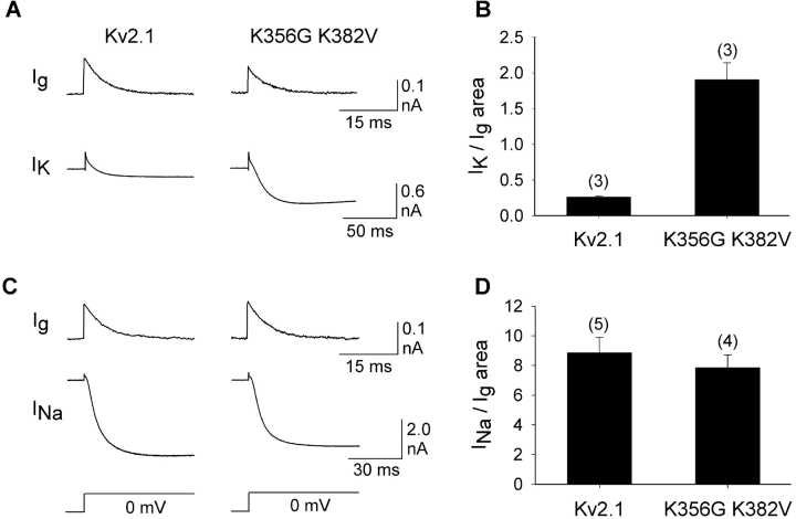 Figure 4. 