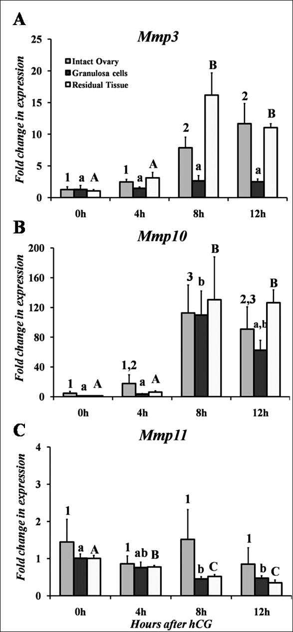 FIG. 1.