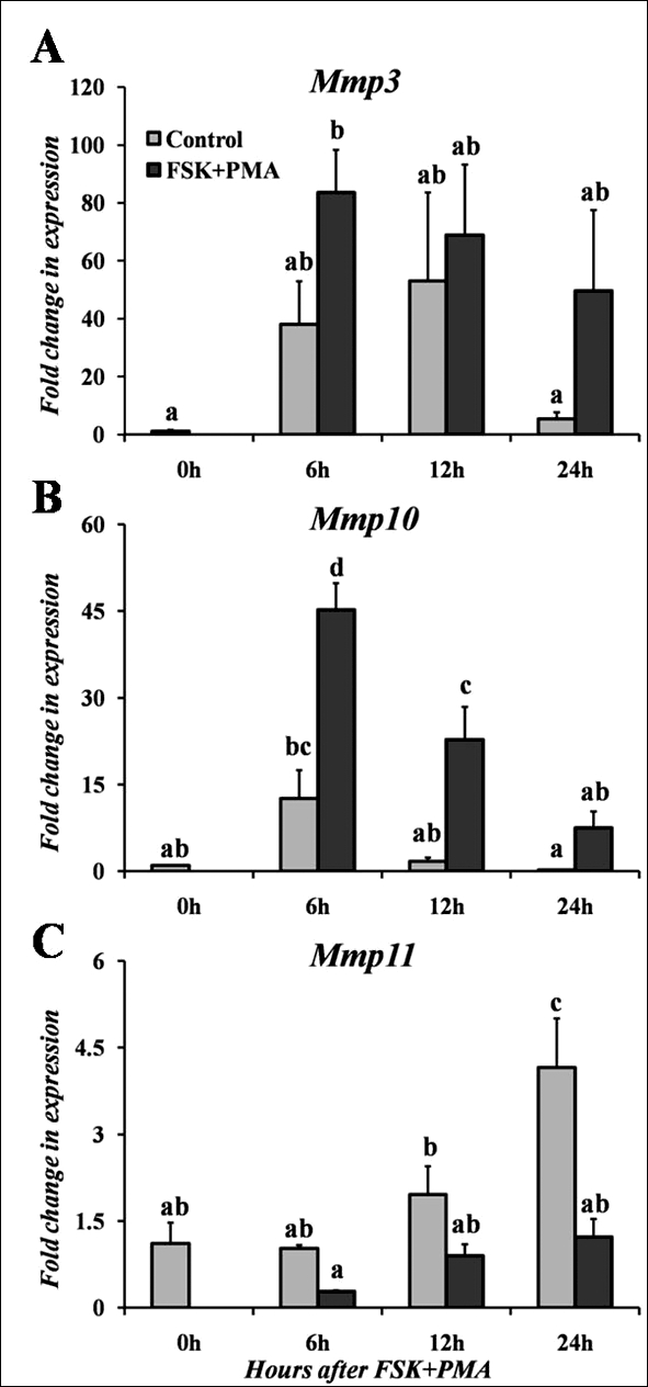 FIG. 4.