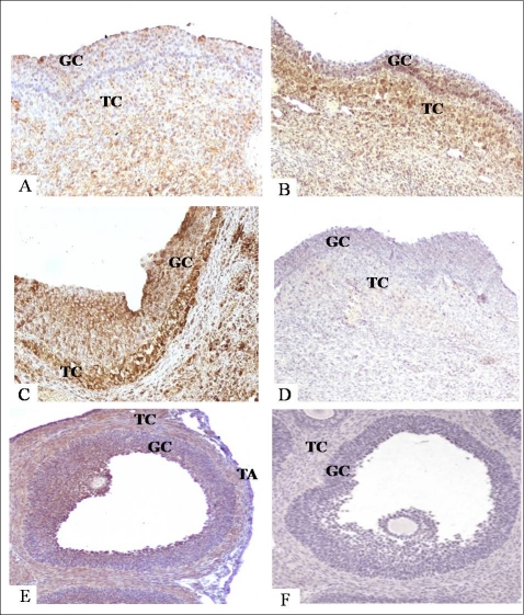 FIG. 7.