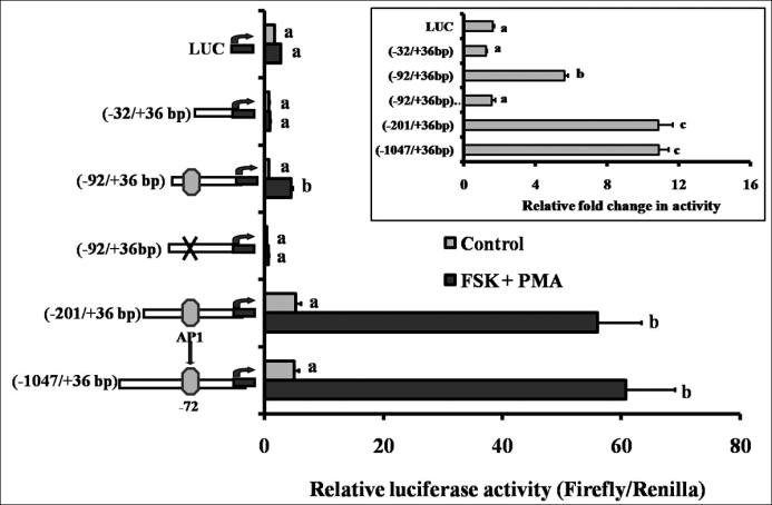 FIG. 6.