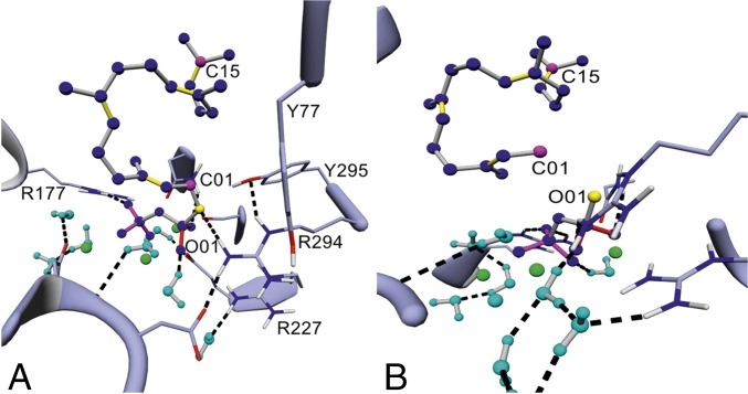 Fig. 7.