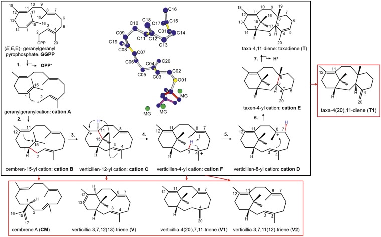 Fig. 1.