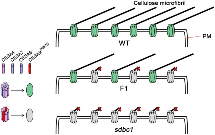 Fig. 10