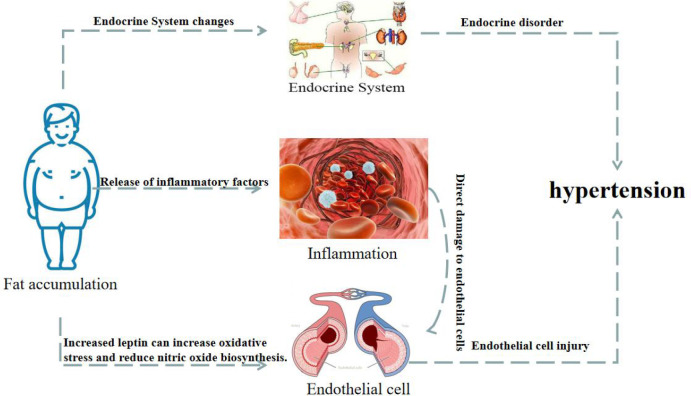 Figure 3