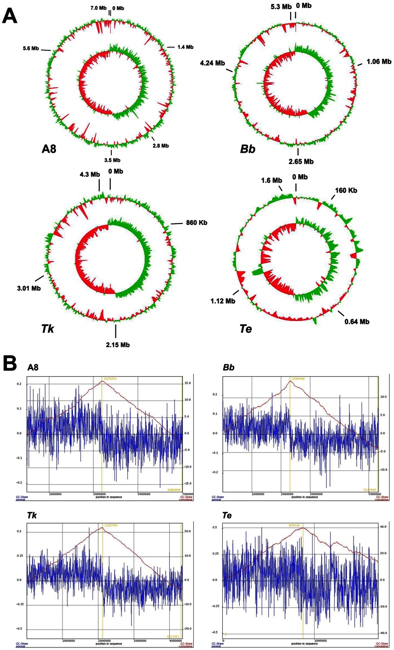 Figure 9