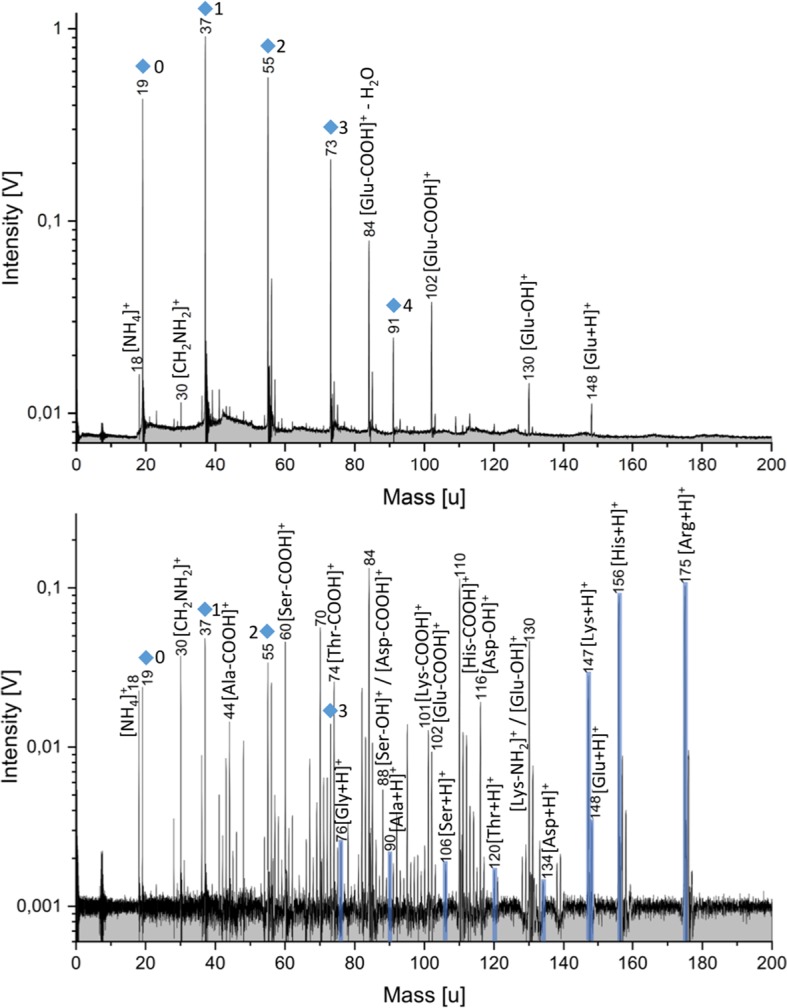 Fig. 3