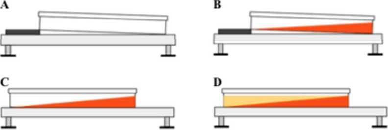 Fig. 6