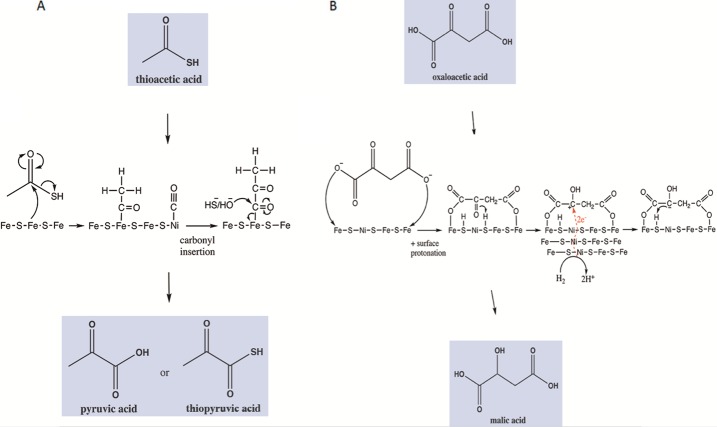 Fig. 9