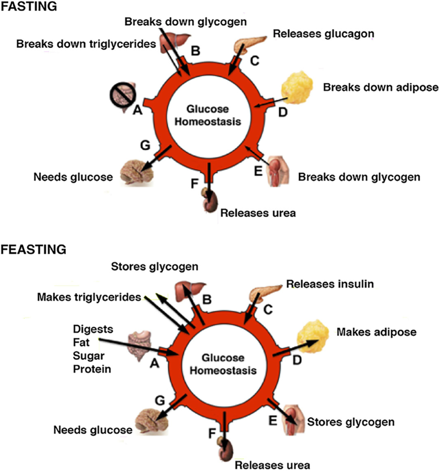 Figure 2: