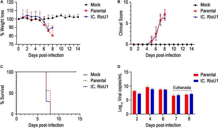 FIGURE 4