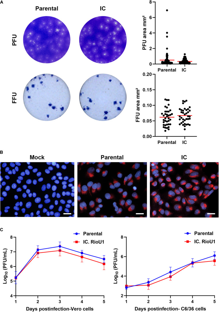 FIGURE 3