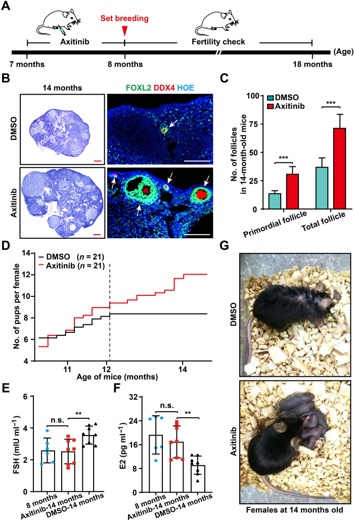 Fig. 6.