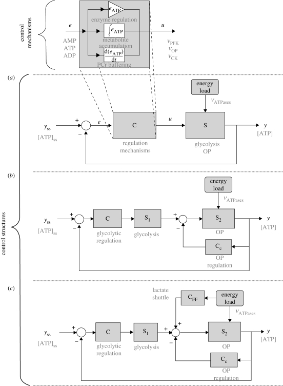 Figure 7.