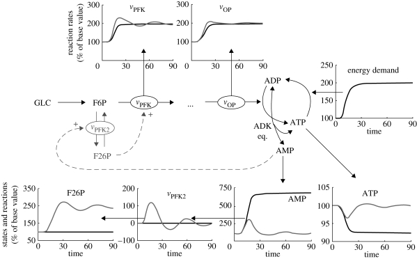 Figure 5.