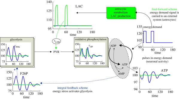 Figure 6.