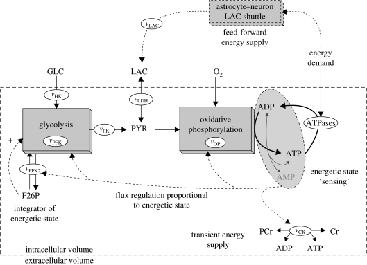 Figure 1.