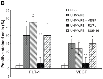 Figure 2B