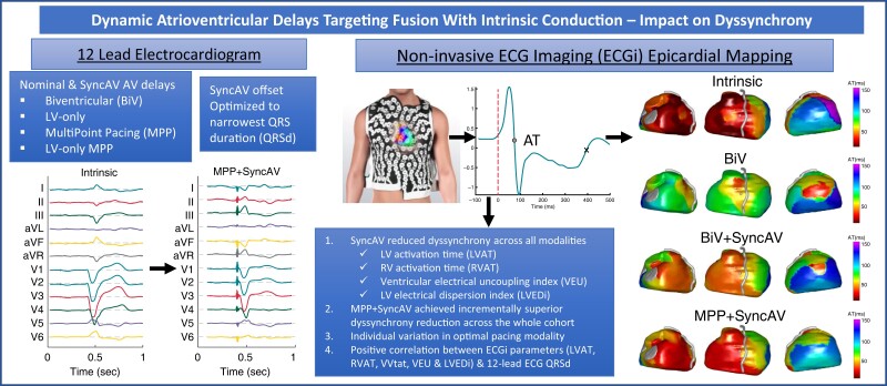 Graphical Abstract