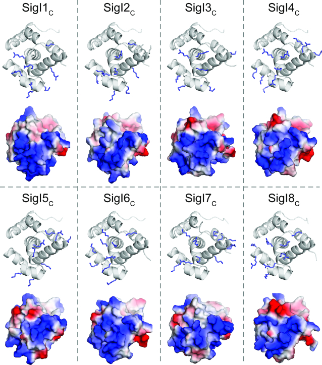 Figure 6.