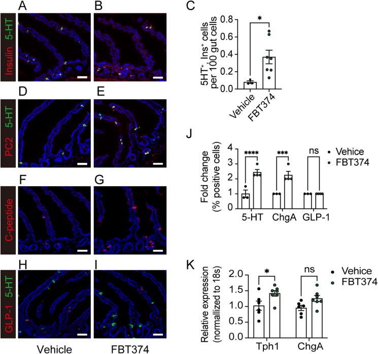 Figure 7