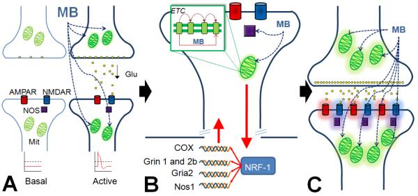 Figure 5