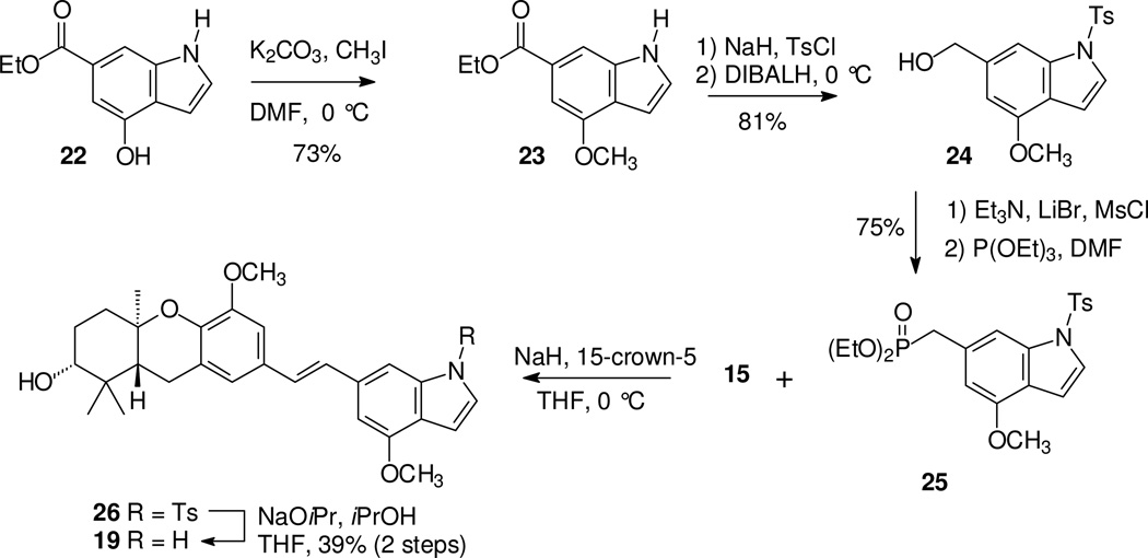 Scheme 2