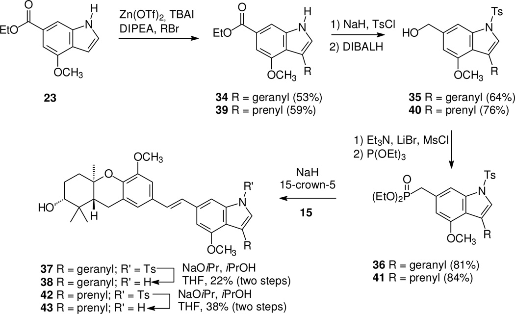 Scheme 5