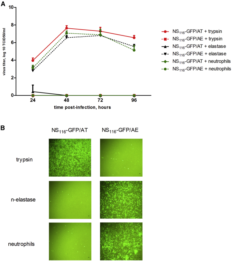 Figure 3