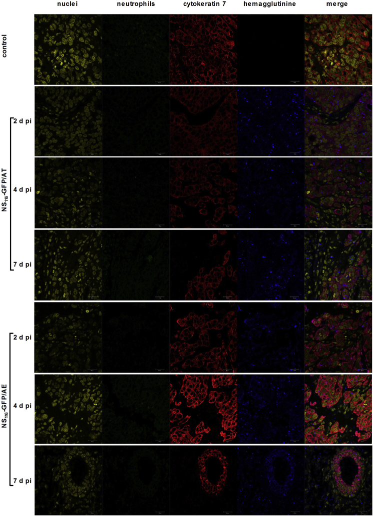 Figure 6