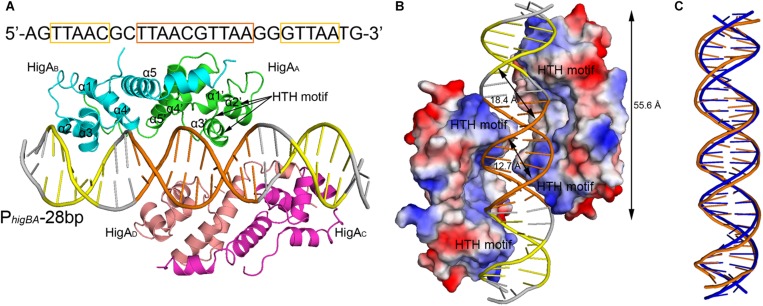 FIGURE 2